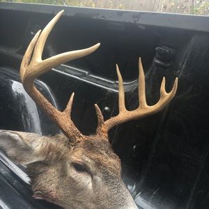 Meet your Posher, Danny